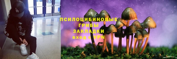дурь Абаза