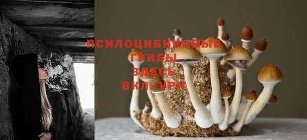 каннабис Осинники