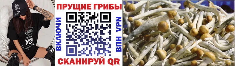 Галлюциногенные грибы ЛСД  дарнет шоп  Уржум 