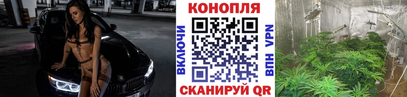 Канабис Ganja  маркетплейс наркотические препараты  Уржум  продажа наркотиков 
